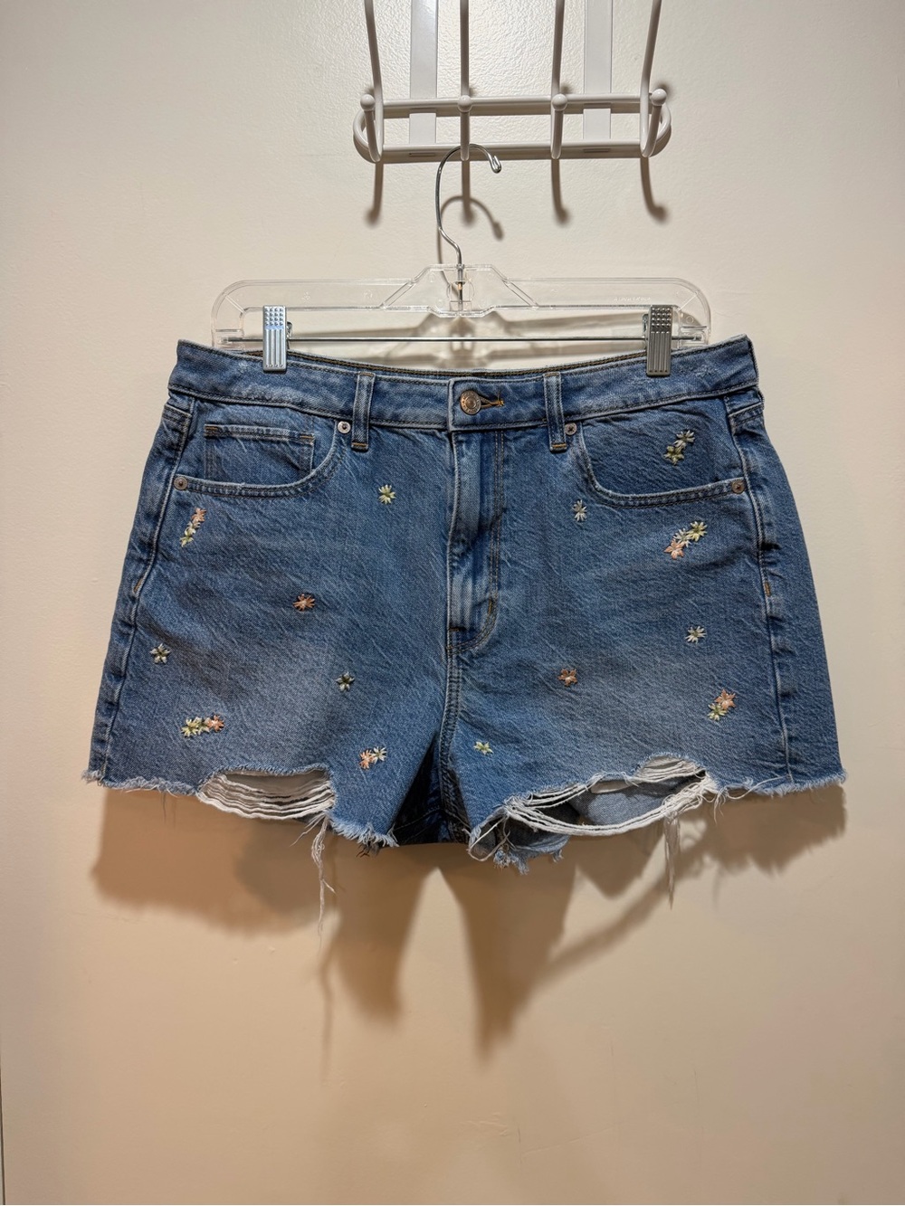 American Eagle Denim Embroidered Distressed Women's Shorts